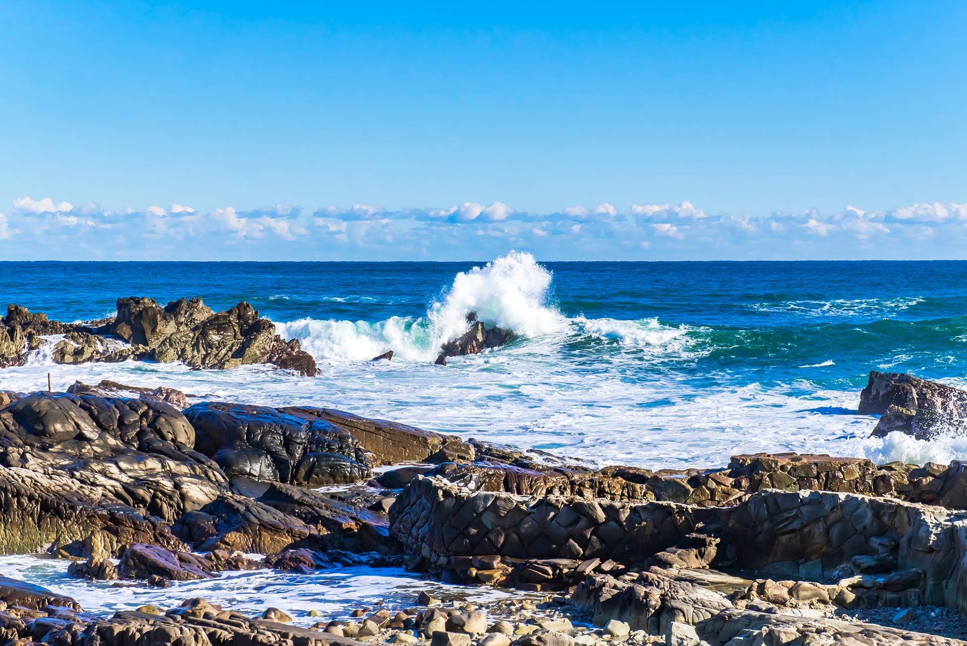 海