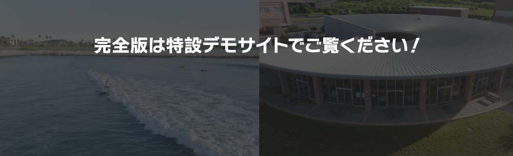 完全版は特設デモサイトでご覧ください！